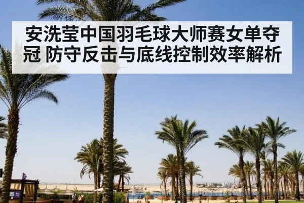 安洗莹中国羽毛球大师赛女单夺冠 防守反击与底线控制效率解析