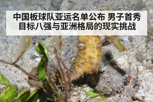 中国板球队亚运名单公布 男子首秀目标八强与亚洲格局的现实挑战