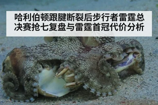 哈利伯顿跟腱断裂后步行者雷霆总决赛抢七复盘与雷霆首冠代价分析
